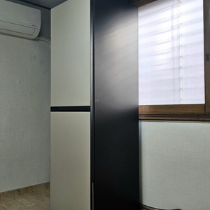 삼성 비스포크 DF24CB9900ER 에어드레서