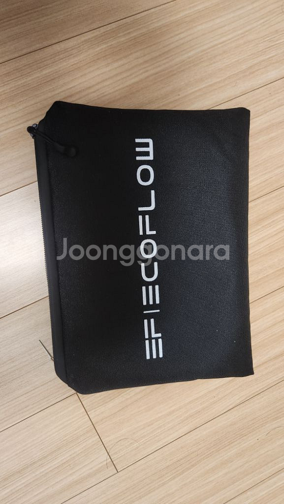 에코플로우 리버2 프로--5