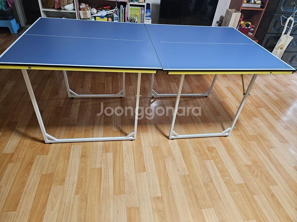 탁구대(상태최상--1