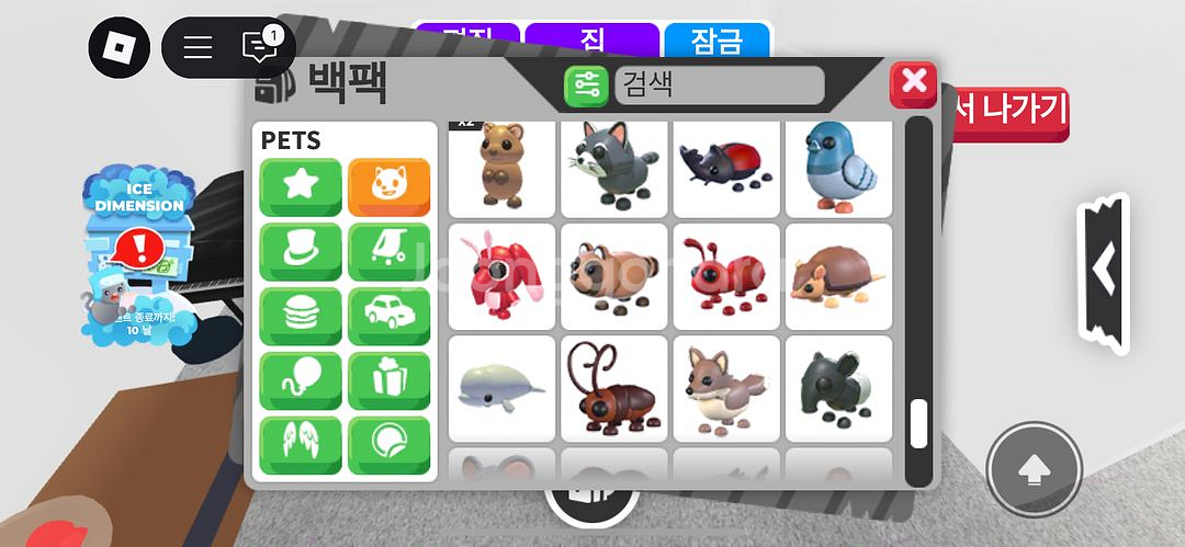 입양하세요 펫 팔아요 제발요제발젭랃ㅈ--6