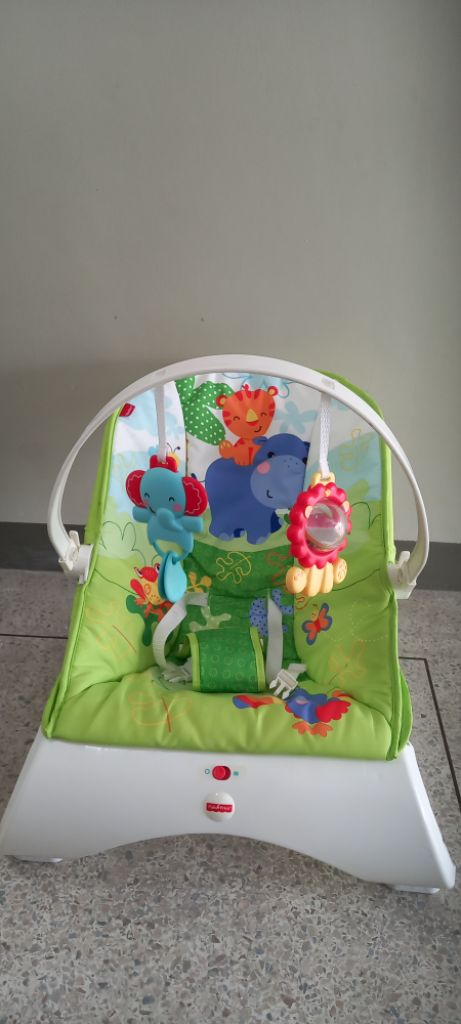 미국산 최고급 명품 초경량 기내반입 바운서 피셔프라이스--1