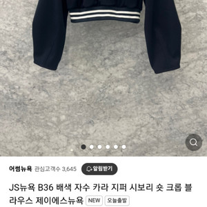 js뉴욕 자수카라 숏 블라우스