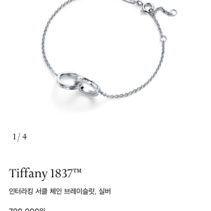 인터라킹 서클 체인 브레이슬릿, 실버