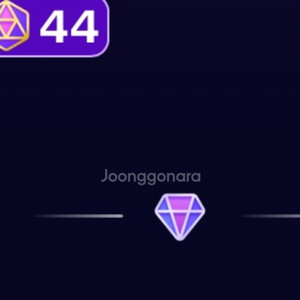 틱톡 44랩