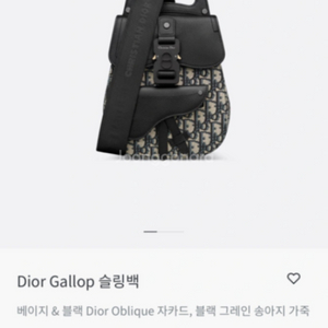 디올 Dior Gallop 슬링백