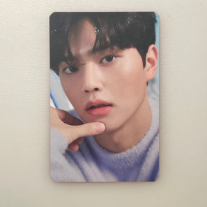 송강 바닐라코 포카 판매합니다(시세반값)