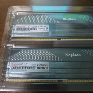 킹뱅크 48gb (24x2) DDR5