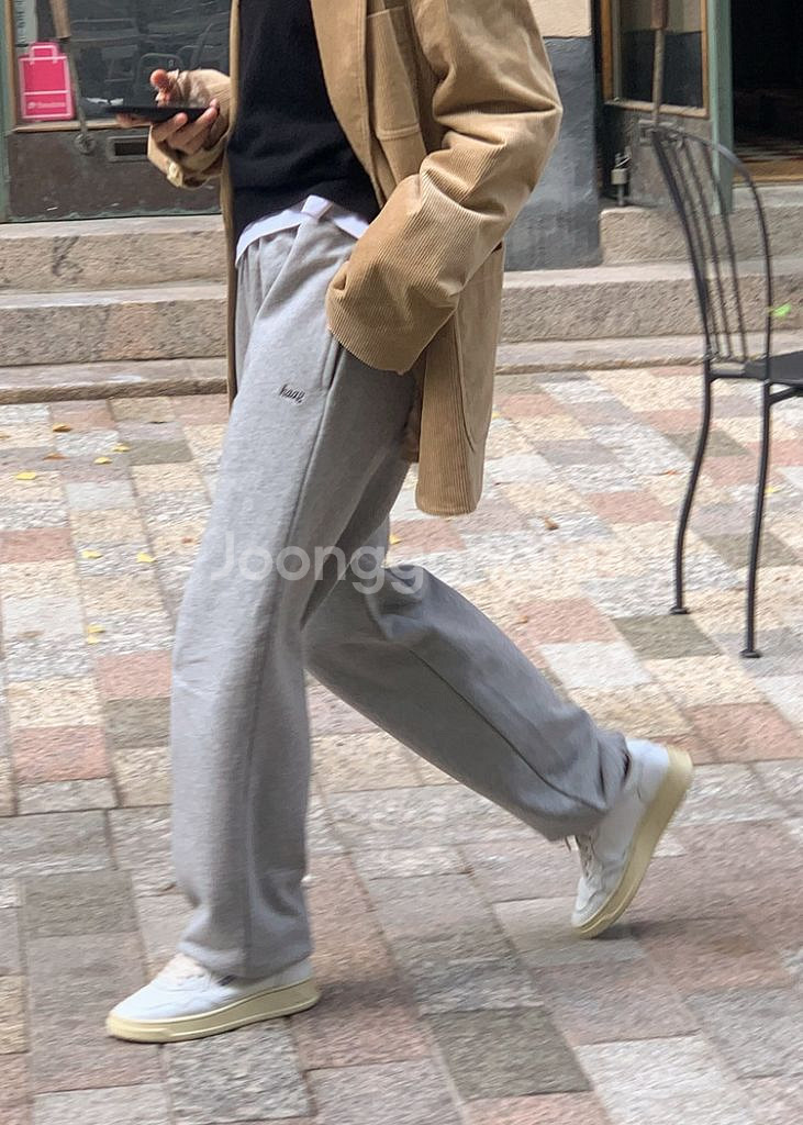 haag 헤이그 그레이 조거--1