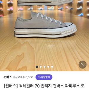 초급처)컨버스 척테일러