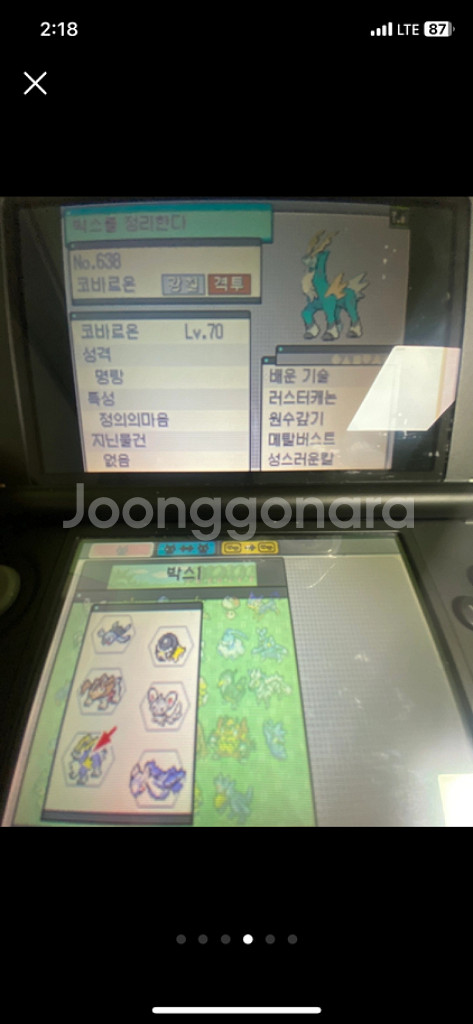 포켓몬스터 블랙2 칩 설명서 케이스 전부--2