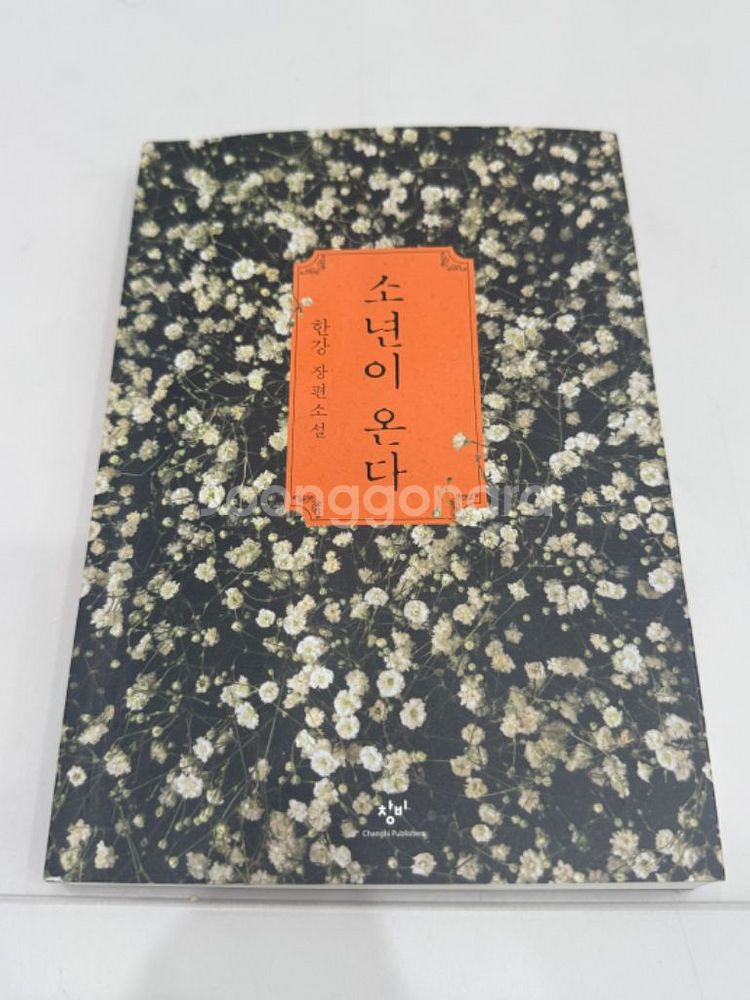 한강 소년이온다--0
