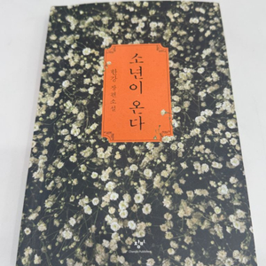 한강 소년이온다