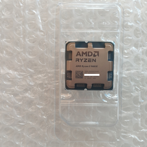 AMD 9600X