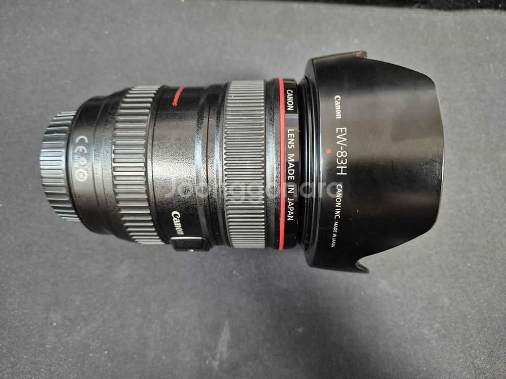 캐논 EF 24-105 F4L IS USM 이사백오--1