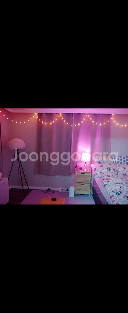 스탠드 조명 깃털 조명--6
