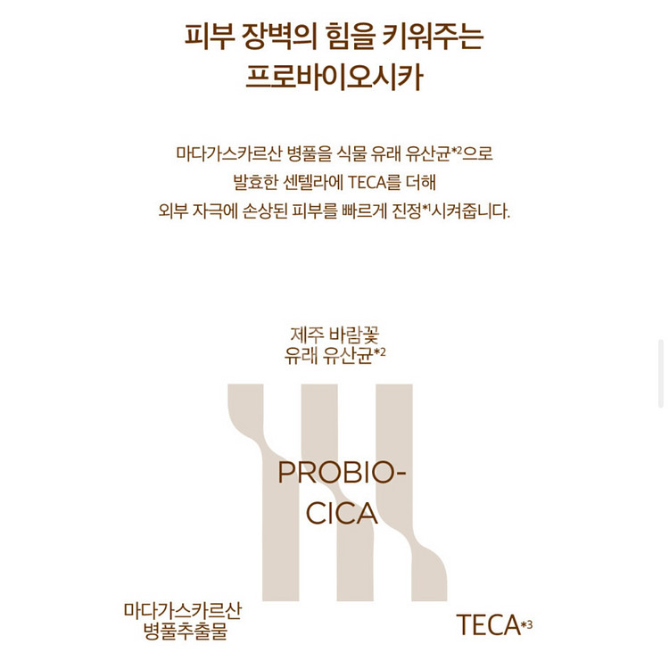 스킨 1004 마다가스카르 센텔라 프로바이오시카 앰플--5