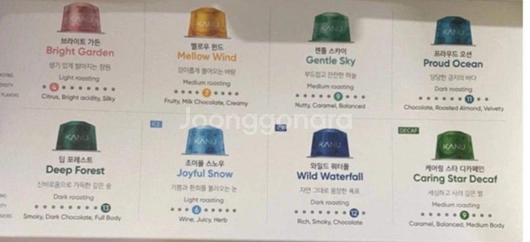 카누 DSM-DN 바리스타 캡슐 커피머신 페블--5