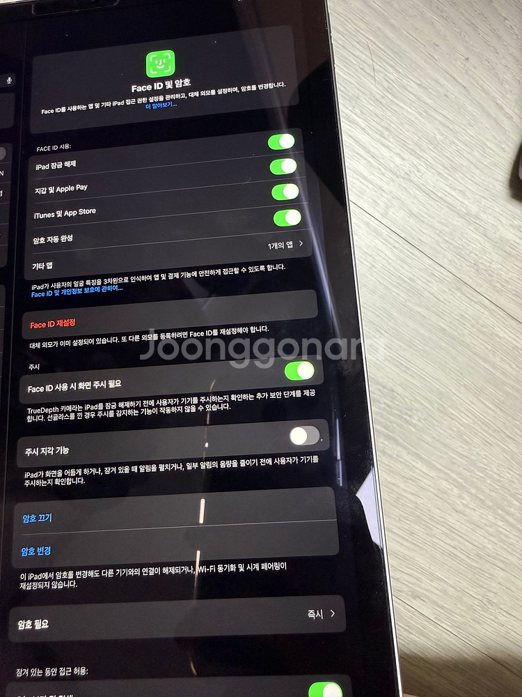 아이패드프로 11 m2 256 셀룰러--9