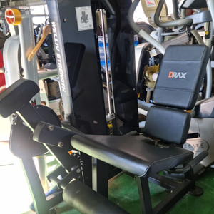 디랙스익스텐션