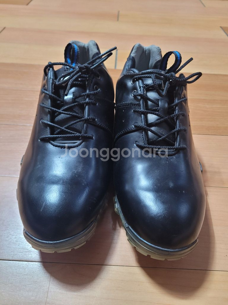 미즈노[MIZUNO] 제넴 가죽 남성 골프화(250)--0