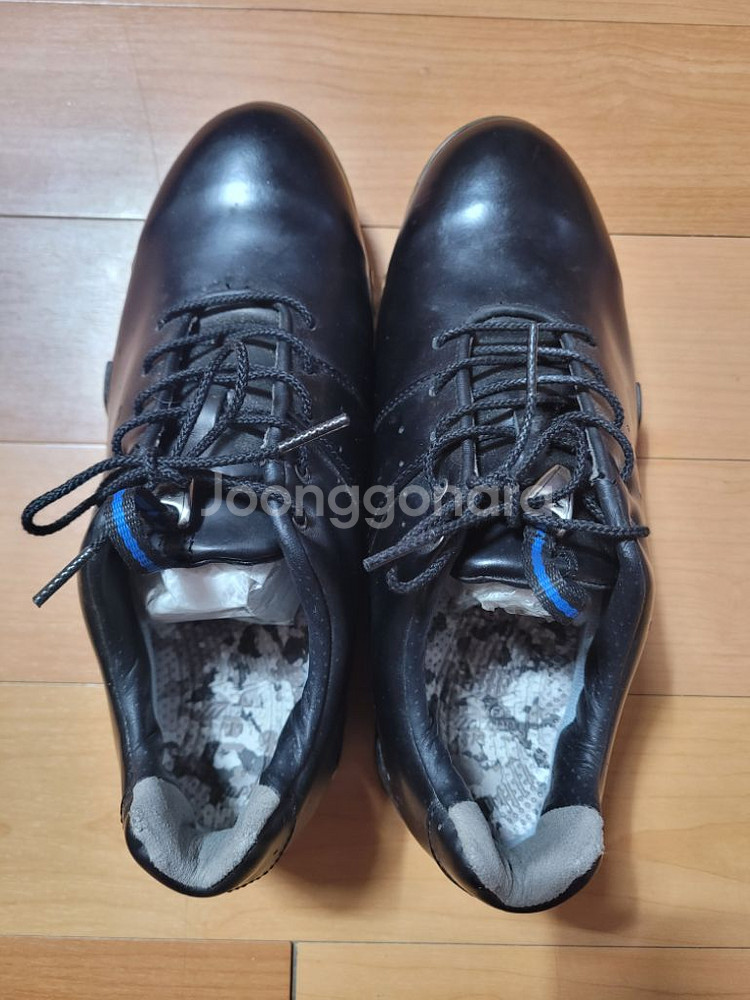 미즈노[MIZUNO] 제넴 가죽 남성 골프화(250)--4