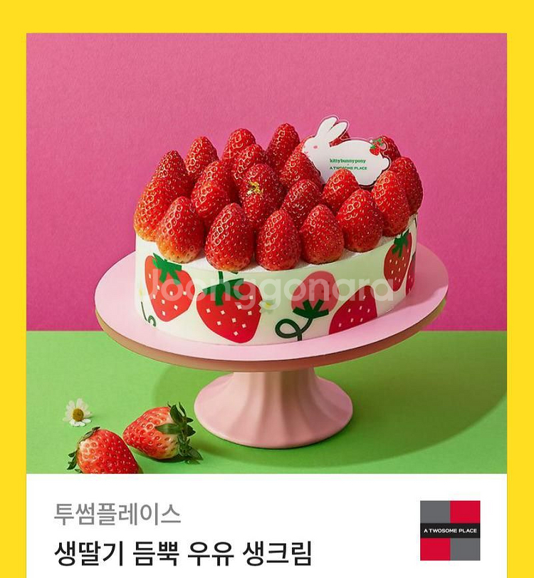 투썸플레이스--0
