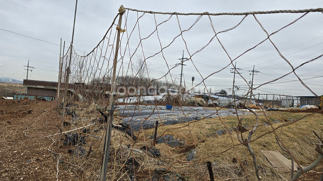 고라니망 해태망 식물유도망 40M 1.8M 2개--3