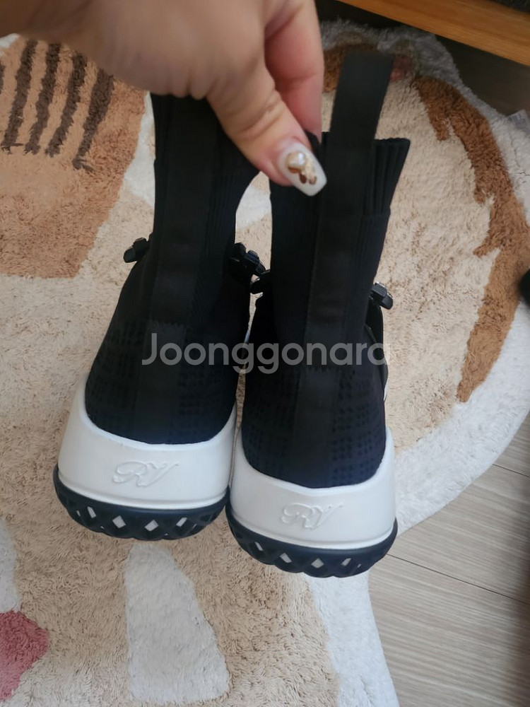 로저비비에--1