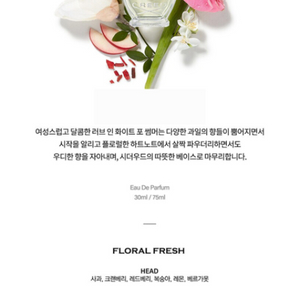 크리드 러브인 화이트 향수 포 썸머(75ml)