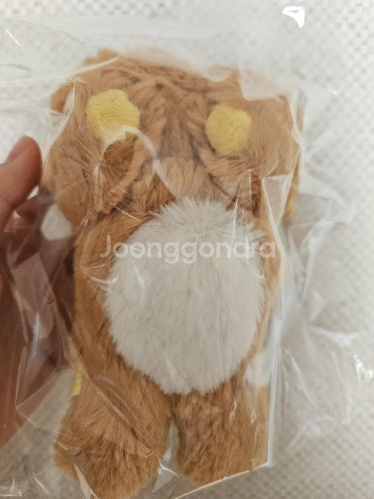 리락쿠마 엎드린 후와후와 인형--1