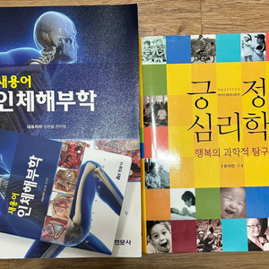 새용어 인체해부학 현문사, 긍정심리학 학지사