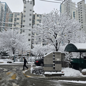 치킨호프A급지 임대