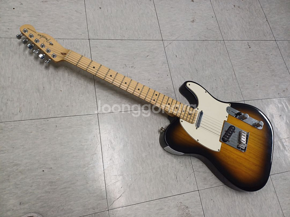 펜더 텔레캐스터 American Standard--0