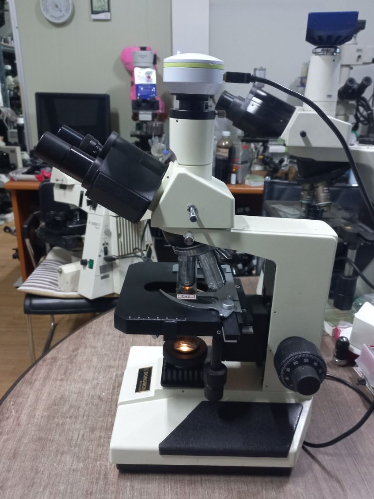 성능좋은 교사용 3안CCD현미경.생혈액현미경 이미지