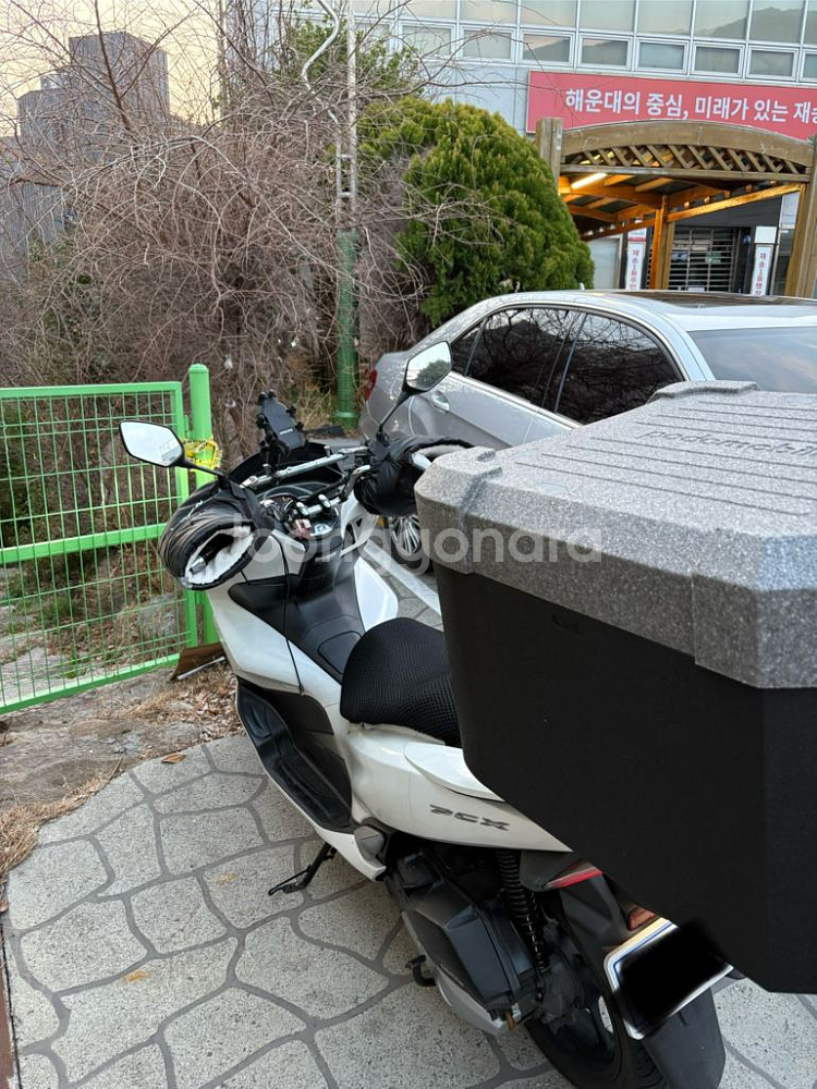 PCX125 19년식--1