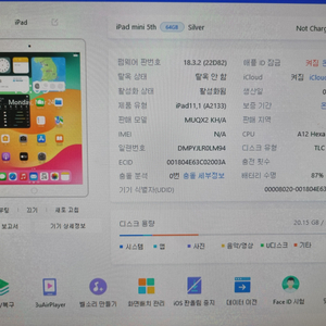 아이패드 미니5 64기가 와이파이 버전 판매합니다.