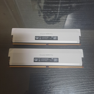 마이크론 램 ddr 6400 cl38 튜닝램 32gb