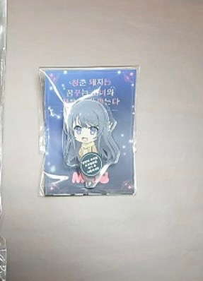 청춘돼지 사쿠라지마 마이 특전(비매품)--2