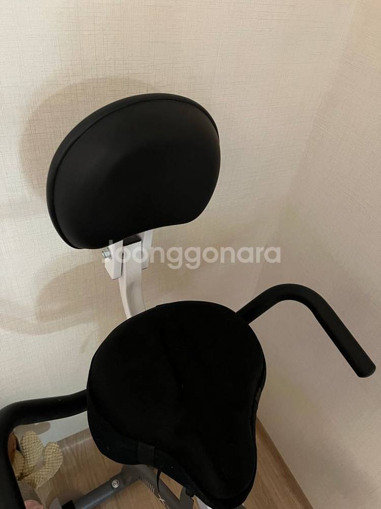 이고진 실내자전거--1