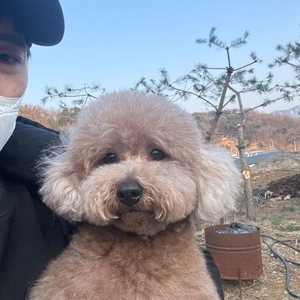 힐튼 골드등급 구매