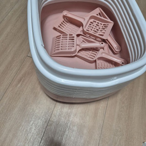 애견샵 용품 정리
