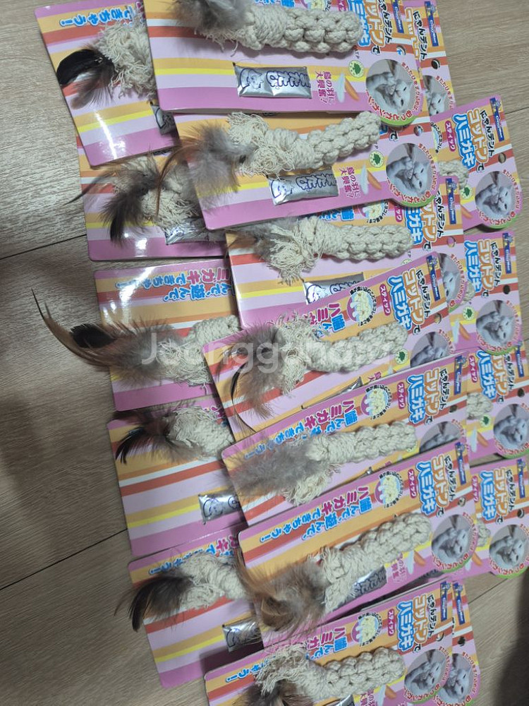 애견샵 용품 정리--9