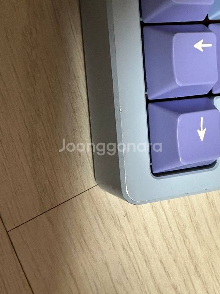 레이니 스위치 없는 상옵--4