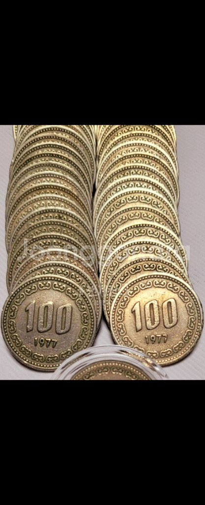 100원주화 연도별로 50개씩 묶음--5