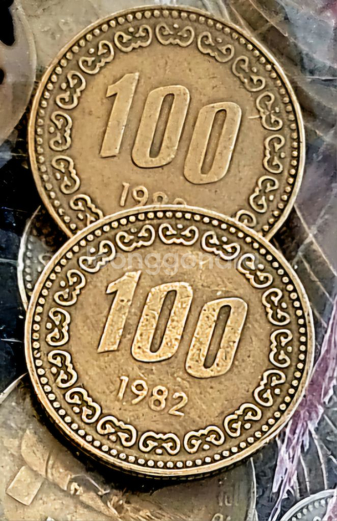 100원주화 연도별로 50개씩 묶음--6