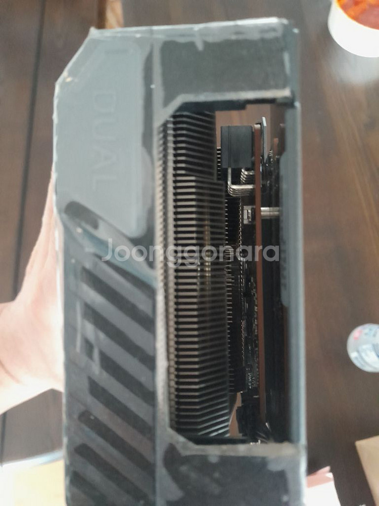 asus rx6600--1