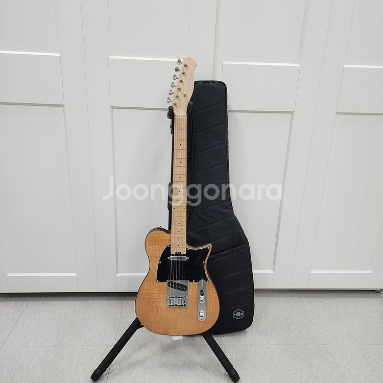 헥스 텔레캐스터 일렉기타 T200 NT--0