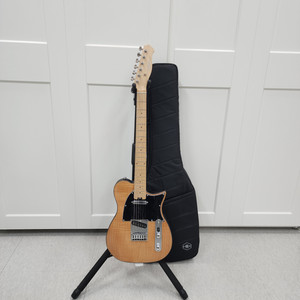 헥스 텔레캐스터 일렉기타 T200 NT