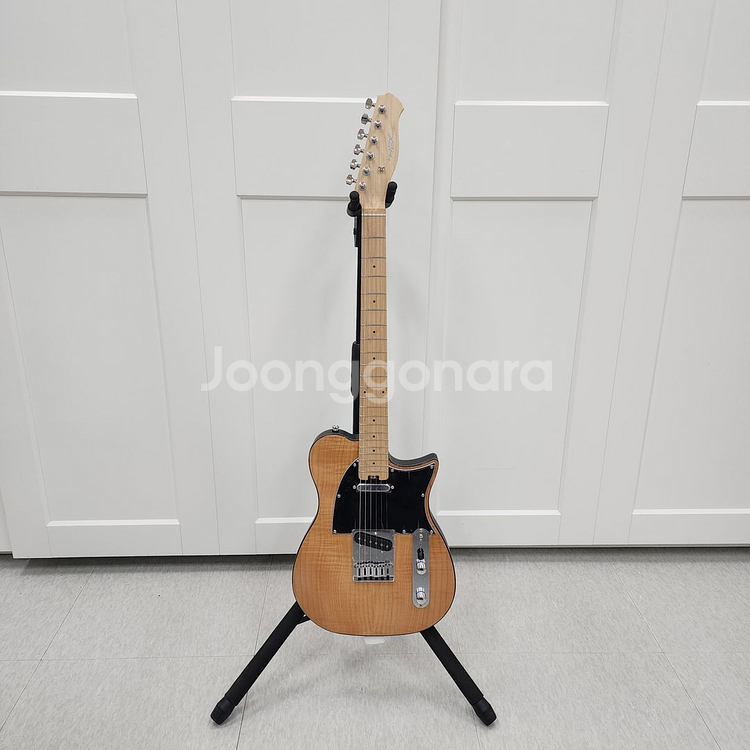 헥스 텔레캐스터 일렉기타 T200 NT--1