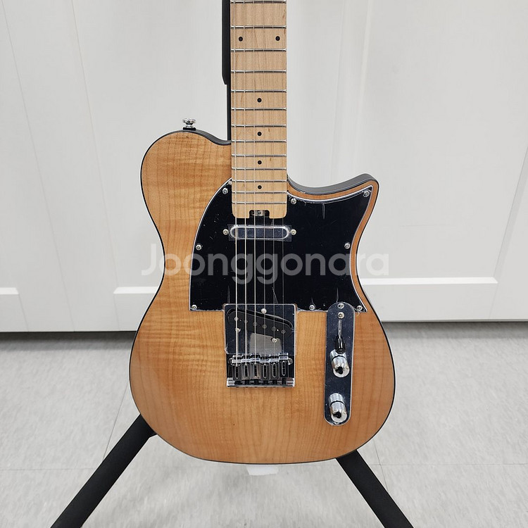 헥스 텔레캐스터 일렉기타 T200 NT--2